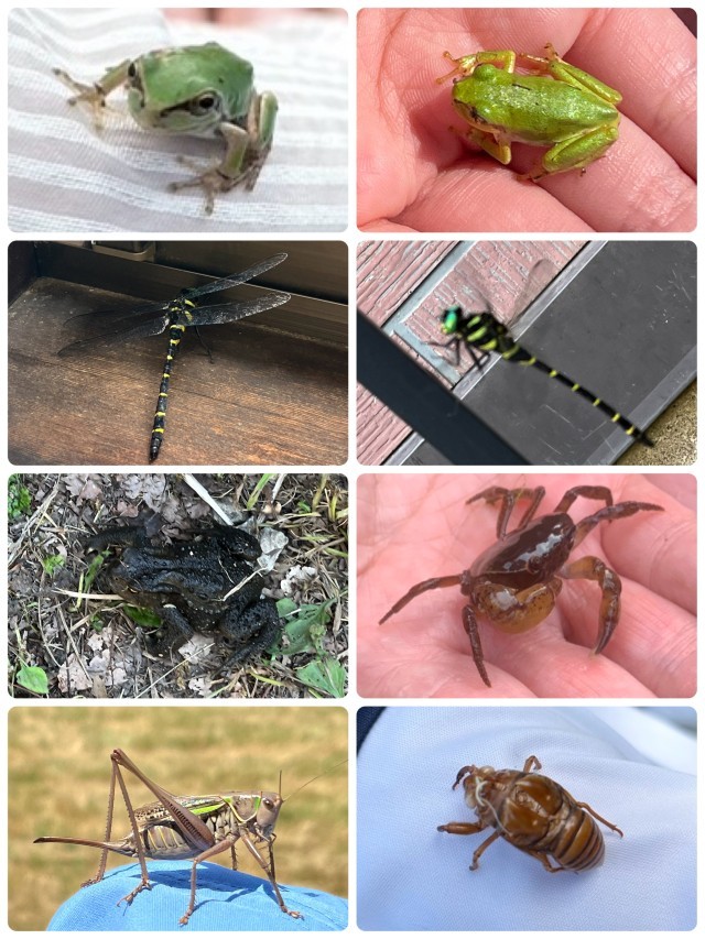 飯山で出会った生き物たち