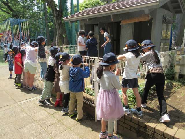 飼育小屋