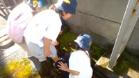「学校の北側の日陰」