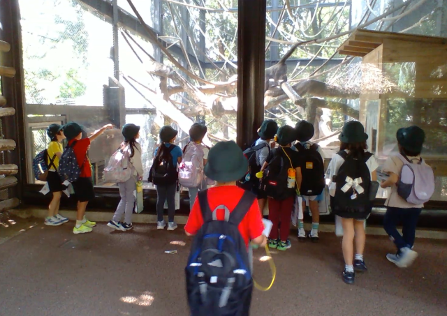 渋谷区立神宮前小学校 | 日記 | 1年生 生活科見学