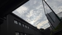 職員室からの眺め　薄曇りです