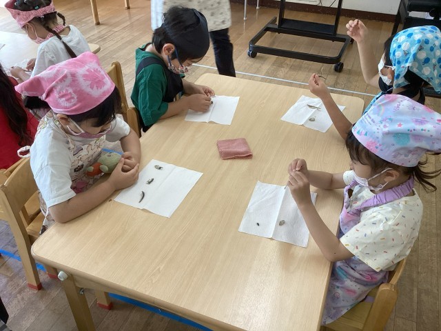 煮干しってお魚なんだね
